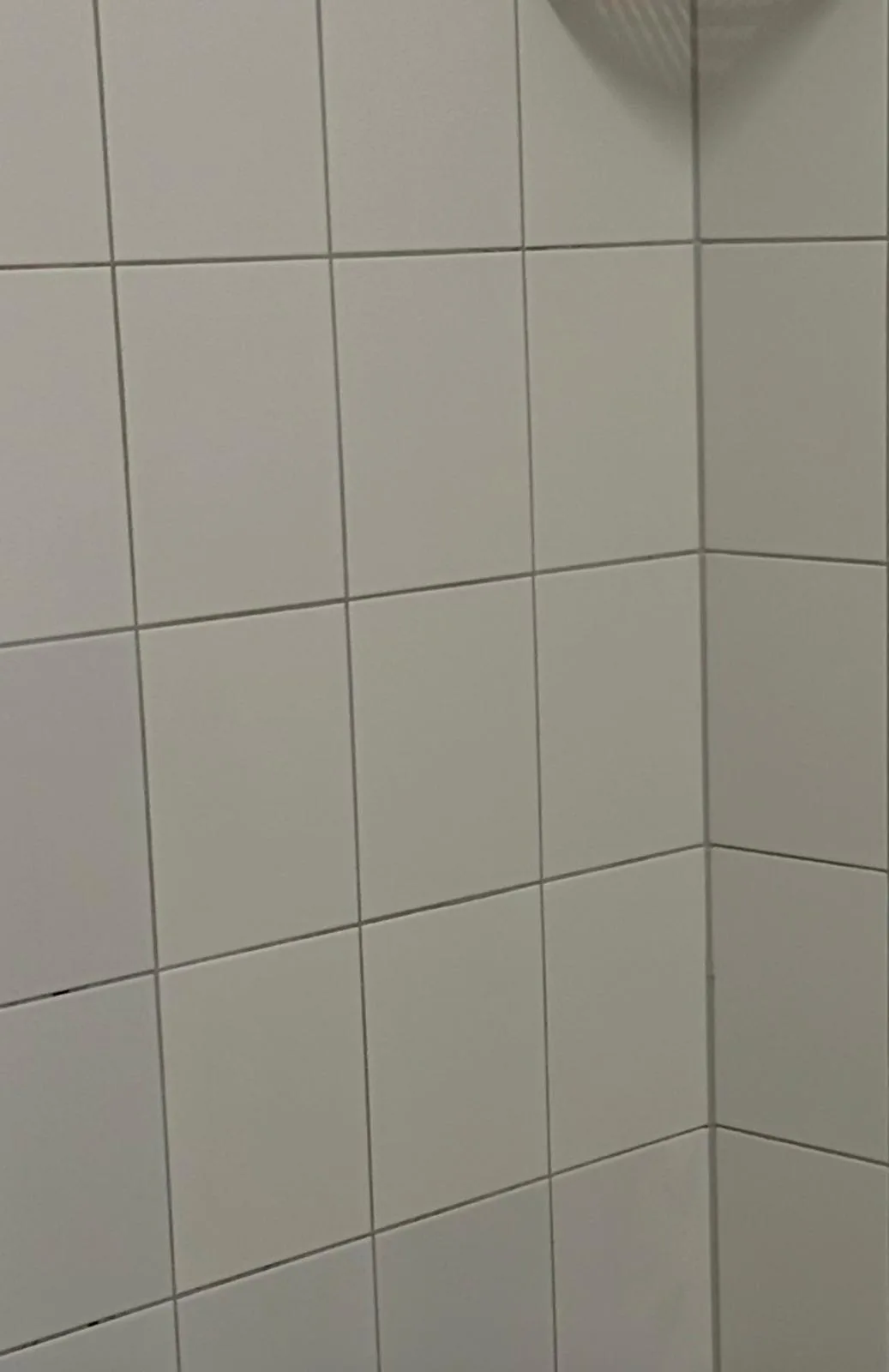 Saubere Wandfliesen mit klaren Fugen