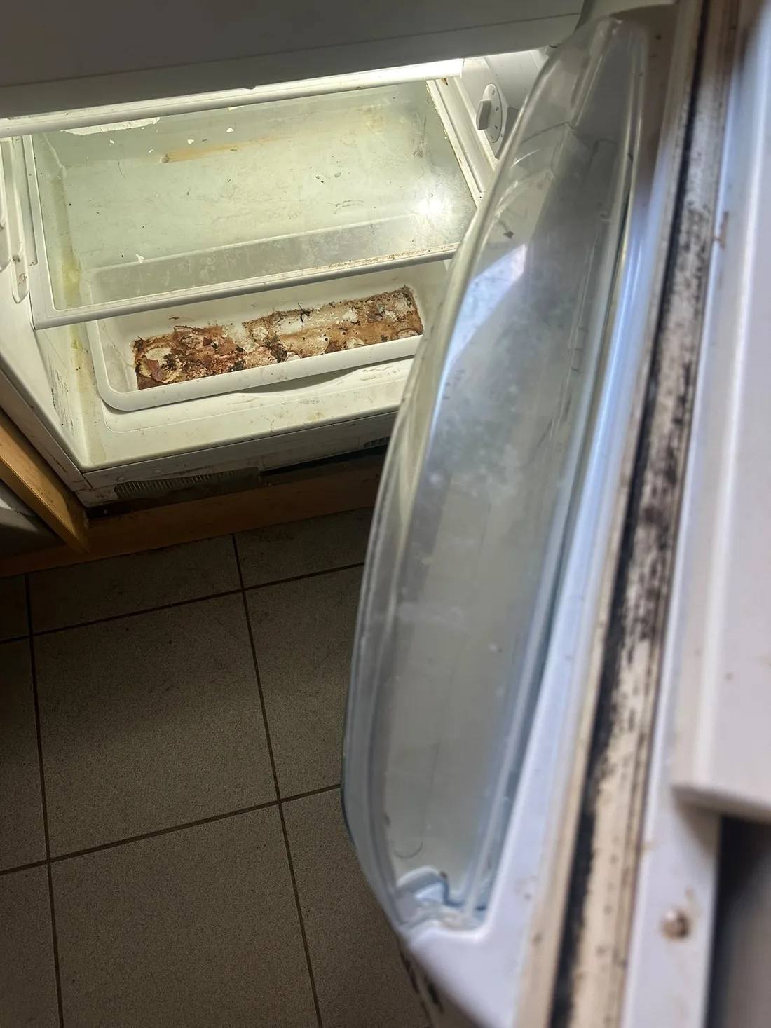 Verschmutzter Kühlschrank vor der Reinigung